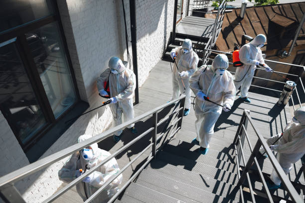 Best Biohazard Mold Removal  in East Brooklyn, CT