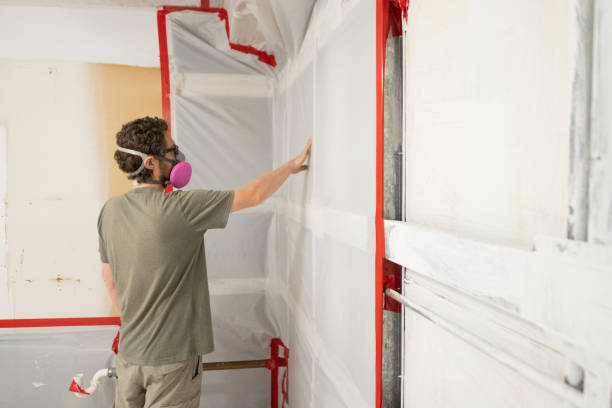 Best Mold Remediation for Healthcare Facilities  in East Brooklyn, CT